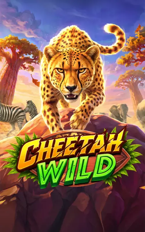 Cheetah Wild